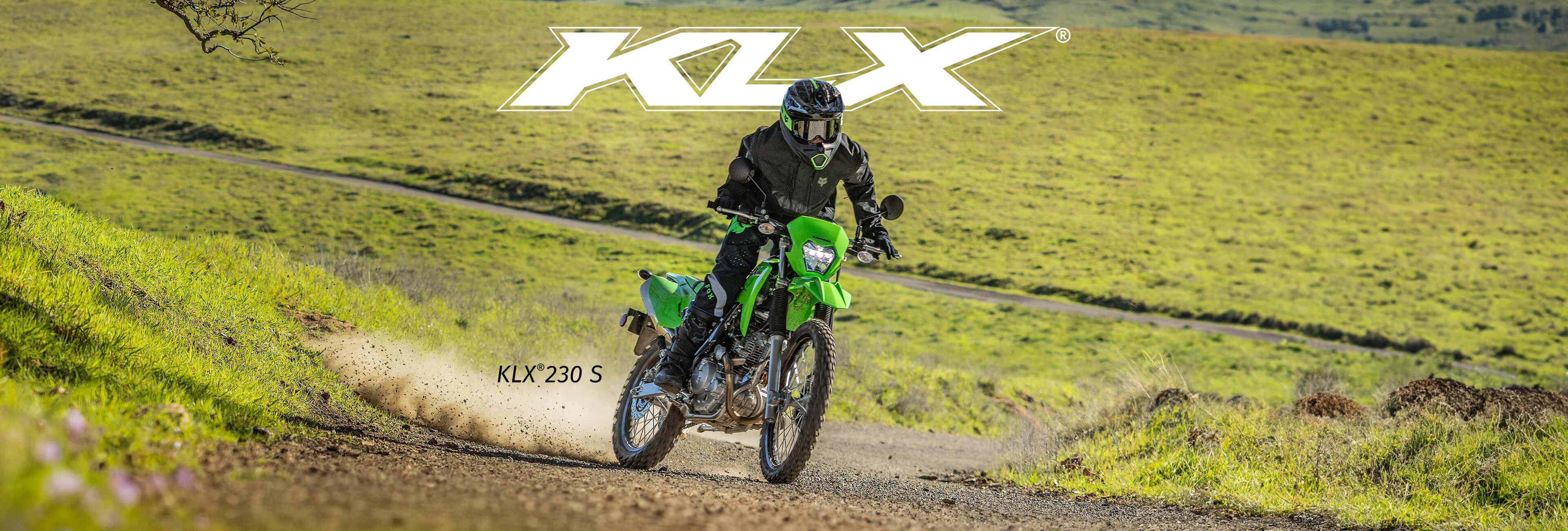 KLX FAMILY: KLX 230 S